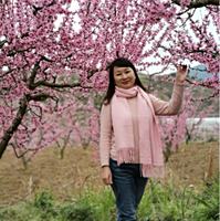 张碧昌