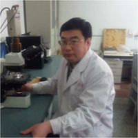 张晓野